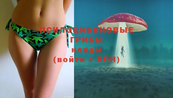 spice Абаза