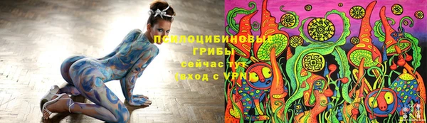 spice Абаза